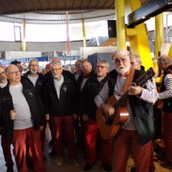 Halles de Merville 19