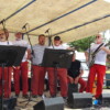 Fête du port Locmiquélic (5)