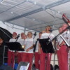 Jeudis de Guéméné sur Scorff (21)