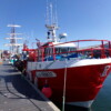 Lorient Océan Kéroman (05)
